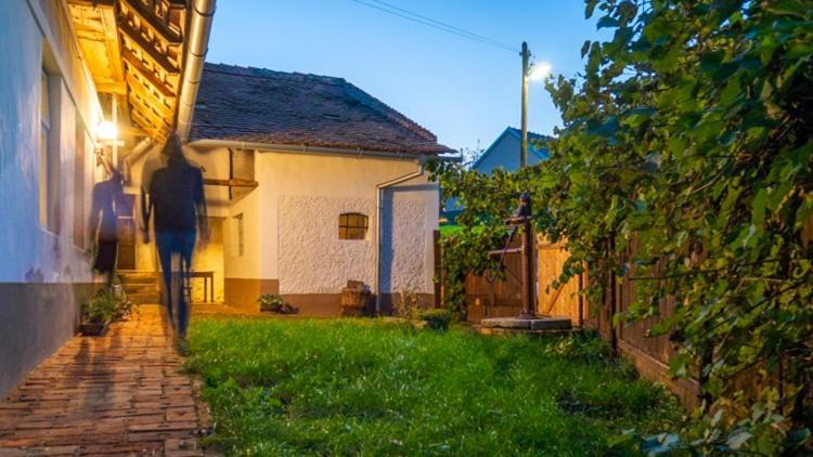 Cejkovicky Holiday home Cejkovice (Hodonin)